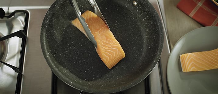 Granite Rock Pan Salmon Test