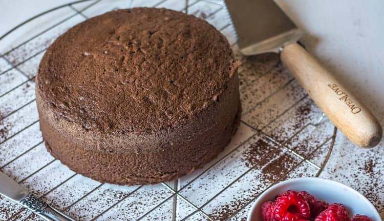 Chocolate Italian Sponge Cake Recipe