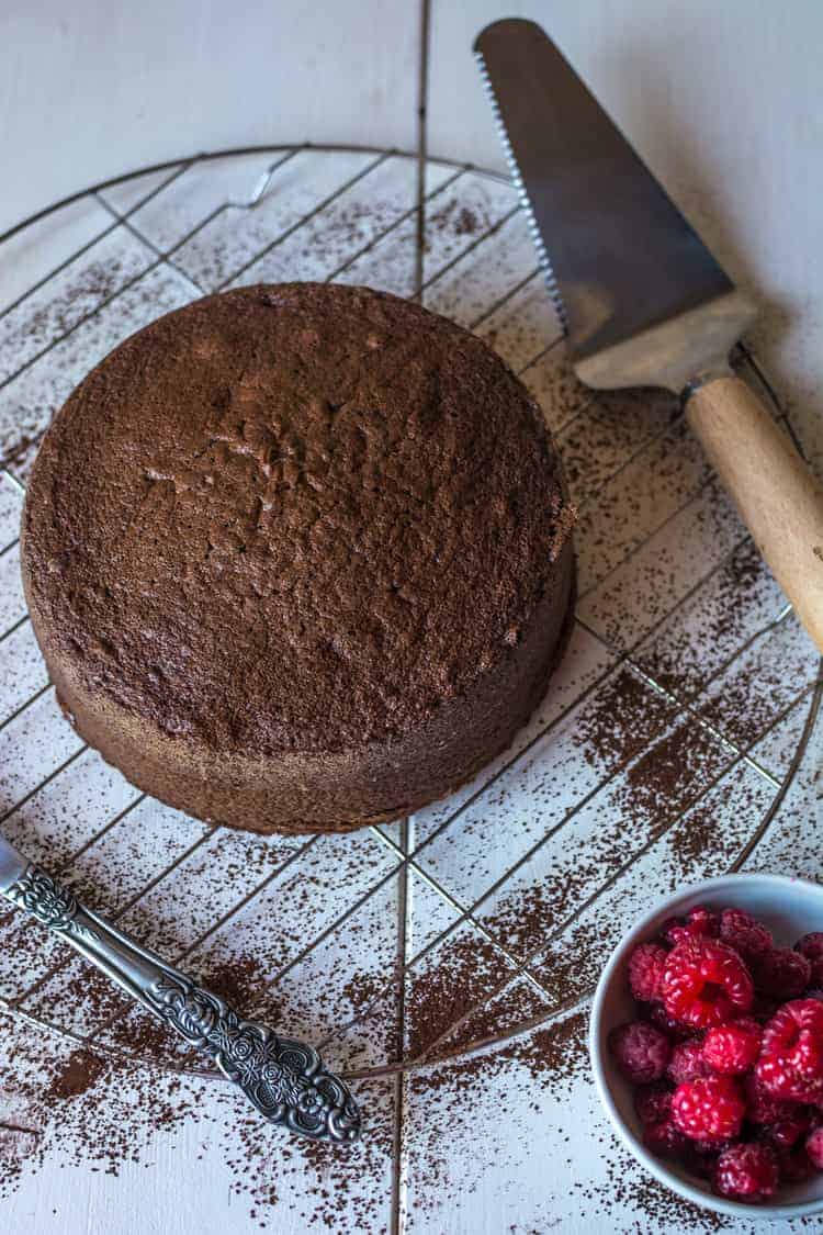 Chocolate Italian Sponge Cake Recipe